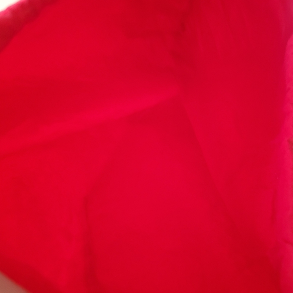 Ellen Tracy dust bag - Picture 8 of 8